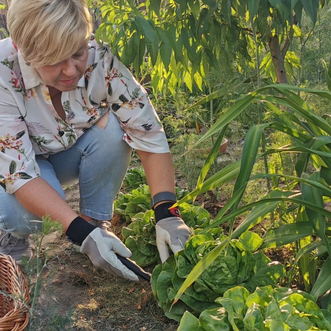 Humin Garden a konyhakertben – nem egy flakon, hanem egy rendszer