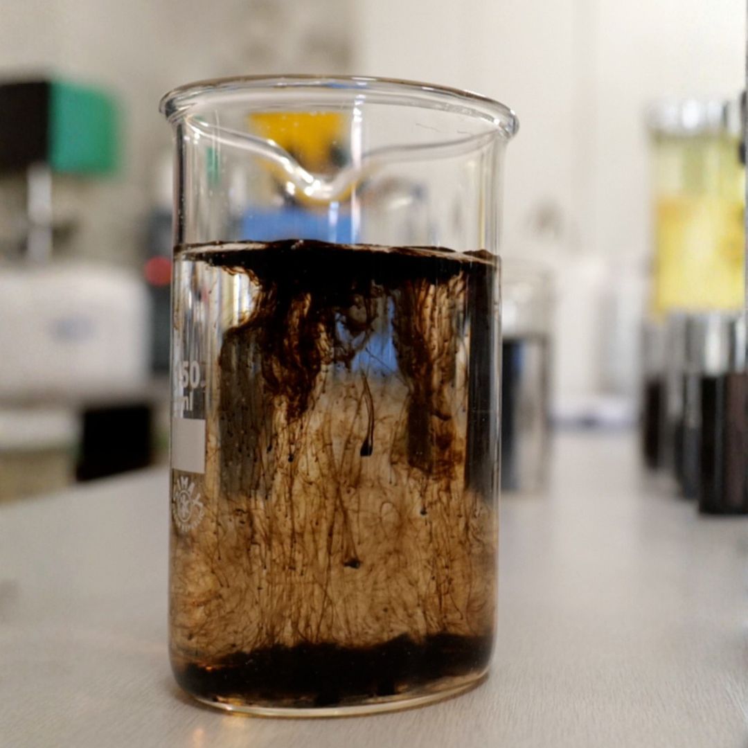 Melyik a legjobb huminsav a kertbe? 5 szempont a választáshoz