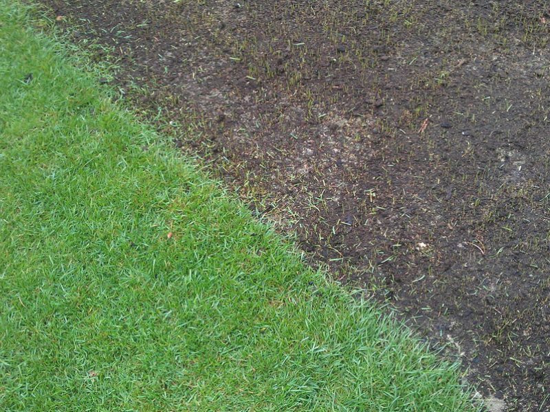 Füvesítés humin garden huminsavval