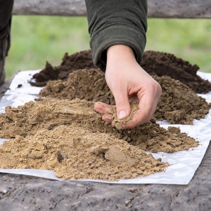 A talaj szerkezete és a humusz ereje 