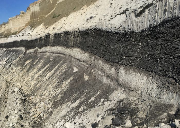 A szén útja a talajban – a légköri szén-dioxidtól a fotoszintézisen és a gyökérváladékokon át a talaj mikrobiális biomasszájáig