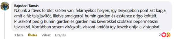 Vásárlói tapasztalat: Örökzöld magnólia virágzása Humin Garden Sol és Esstence Origo kezelés hatására – Bajnóczi Tamás véleménye
